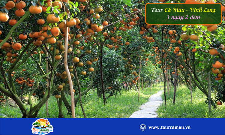 Tour Cà Mau - Vĩnh Long 3 ngày 2 đêm