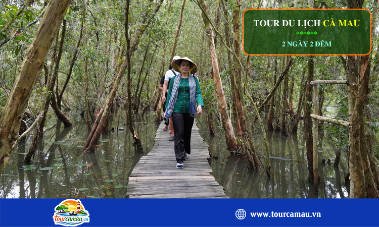 Tour du lịch Cà Mau 2 ngày 2 đêm